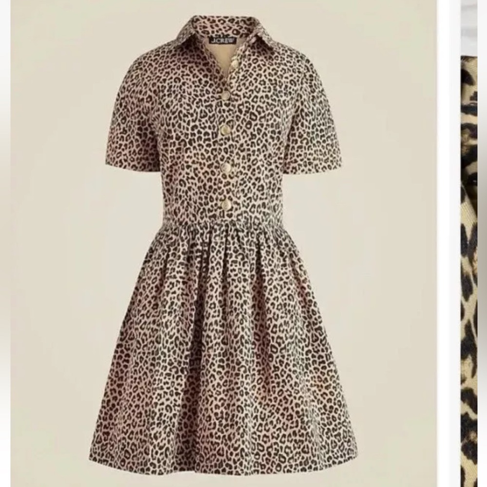 A line shirtdress in leopard chino